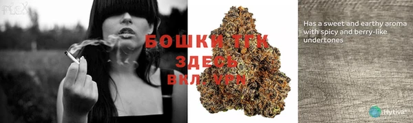 сатива Инсар