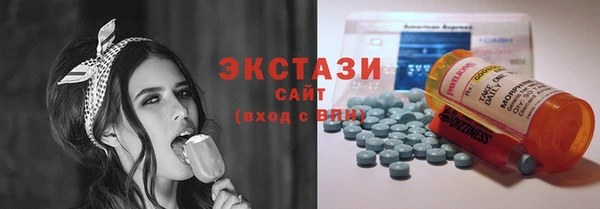 сатива Инсар
