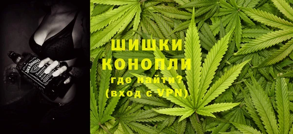 сатива Инсар